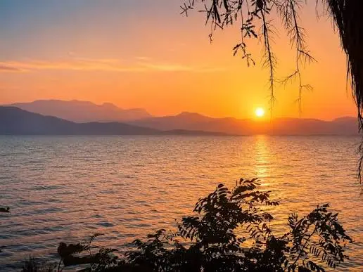 Iliovasilema pano apo ta elaiodentra kai ta nera toy korinthiakoy